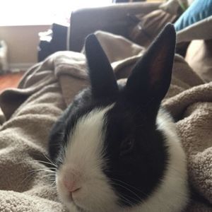 Meet your Posher, Angie